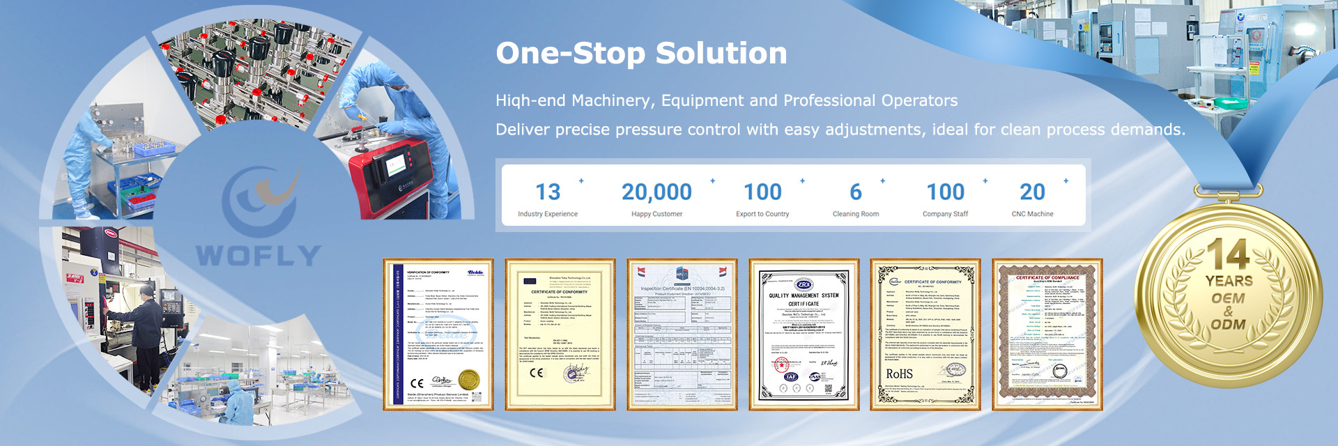 Jakość Regulator ciśnienia ze stali nierdzewnej fabryka